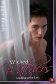 Wicked Watchers - Looking at the Lads (eBook, ePUB)
