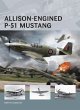 Allison-Engined P-51 Mustang (eBook,... - Bild 1