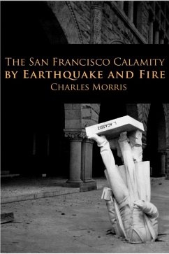 Cover San Francisco Calamity (eBook, ePUB)