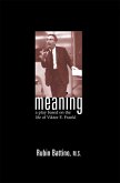 Meaning (eBook, ePUB)