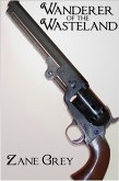Wanderer of the Wasteland (eBook, ePUB)