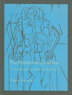 Cover The Posthuman Condition (eBook, PDF)