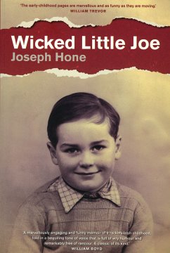 Wicked Little Joe (eBook, ePUB) - Hone, Joseph