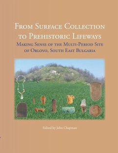 From Surface Collection to Prehistoric Lifeways (eBook, PDF) - John Chapman, Chapman; Bisserka Gaydarska, Gaydarska