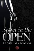 Secret in the Open (eBook, ePUB)