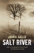 Salt River (eBook, ePUB) - Bild 1
