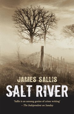 Salt River (eBook, ePUB) - Sallis, James