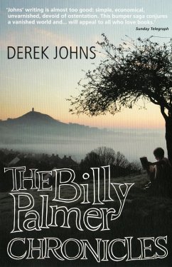 Cover Billy Palmer Chronicles (eBook, ePUB)