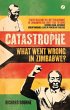 Catastrophe (eBook, PDF) - Bild 1