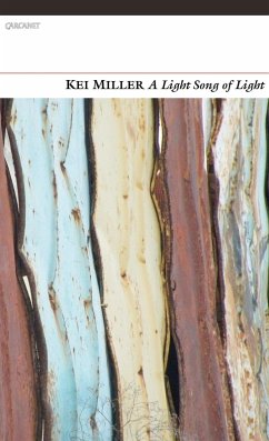 Cover A Light Song of Light (eBook, ePUB)