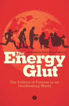 The Energy Glut (eBook, PDF) - Roberts, Ian