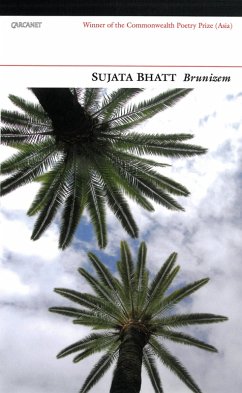 Cover Brunizem (eBook, ePUB)