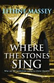 Where the Stones Sing (eBook, ePUB)