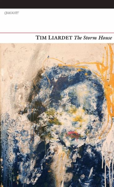 The Storm House (eBook, ePUB)