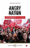 Angry Nation (eBook, PDF)