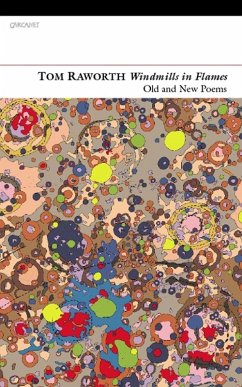 Windmills in Flames (eBook, ePUB) - Raworth, Tom