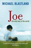 Joe (eBook, ePUB)