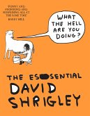 What The Hell Are You Doing?: The Essential David Shrigley (eBook, ePUB)