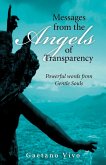 Messages from the Angels of Transparency (eBook, ePUB)