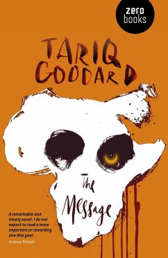 Cover Message (eBook, ePUB)