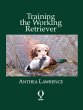 Training the Working Retriever (eBook,... - Bild 1