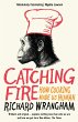 Catching Fire (eBook, ePUB) - Bild 1