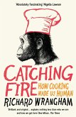 Catching Fire (eBook, ePUB)