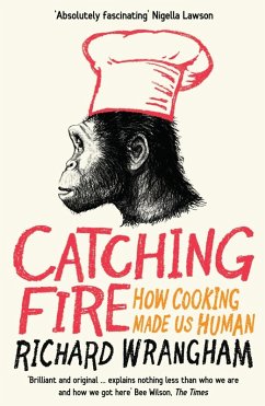 Cover Catching Fire (eBook, ePUB)