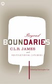 Beyond Boundaries (eBook, PDF)