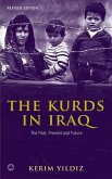 The Kurds in Iraq (eBook, PDF)