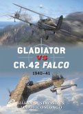 Gladiator vs CR.42 Falco (eBook, PDF)