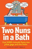 Two Nuns In A Bath (eBook, ePUB)