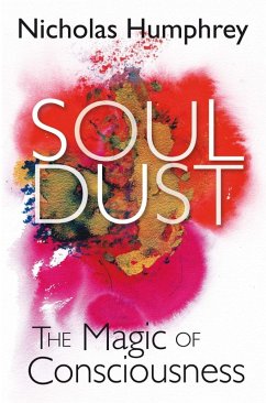 Cover Soul Dust (eBook, ePUB)