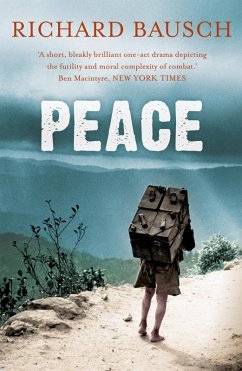 Peace (eBook, ePUB) - Bausch, Richard