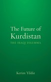 The Future of Kurdistan (eBook, PDF)