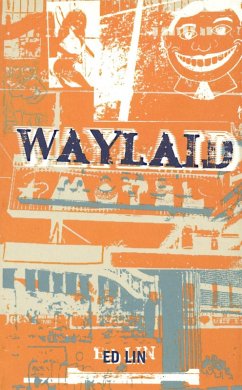 Waylaid (eBook, ePUB) - Lin, Ed