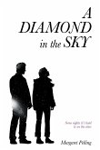 A Diamond in the Sky (eBook, ePUB)