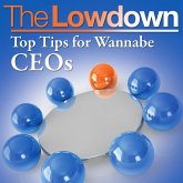 Lowdown: Top Tips for Wannabe CEOs (eBook, ePUB)