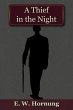 Thief in the Night (eBook, ePUB) - Bild 1