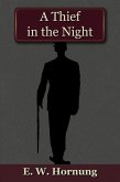 Thief in the Night (eBook, ePUB)