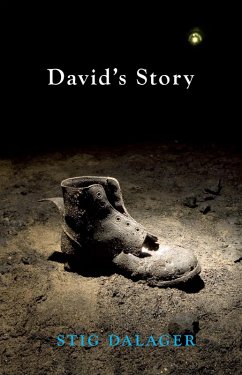 Cover David's Story (eBook, ePUB)
