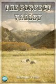Perfect Valley (eBook, ePUB)