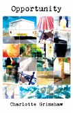 Opportunity (eBook, ePUB)