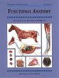 FUNCTIONAL ANATOMY (eBook, ePUB) - Bild 1