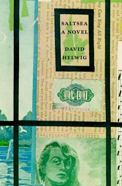 Saltsea (eBook, ePUB) - Helwig, David