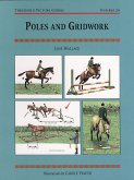 POLES AND GRIDWORK (eBook, ePUB)