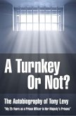 Turnkey or Not (eBook, PDF)