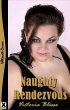 Naughty Rendezvous (eBook, ePUB) - Bild 1