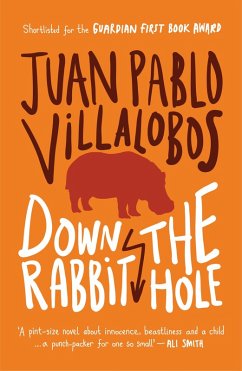 Down the Rabbit Hole (eBook, ePUB) - Villalobos, Juan Pablo