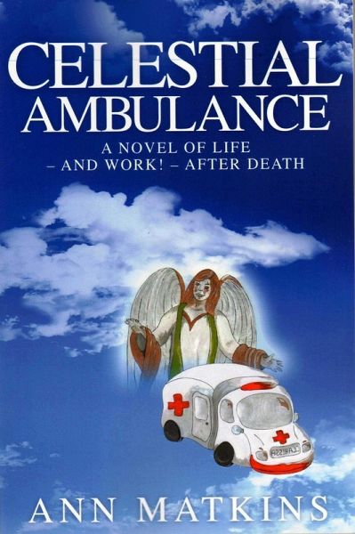 Celestial Ambulance (eBook, ePUB)
